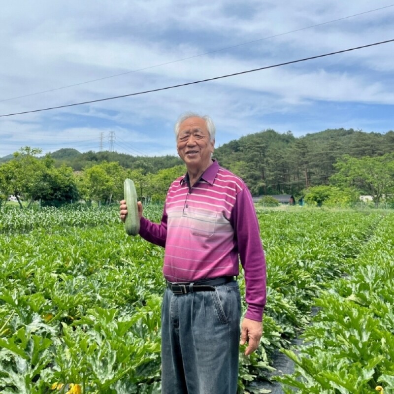 강원더몰,[근덕농협] 쥬키니호박 주키니 2kg 4개입