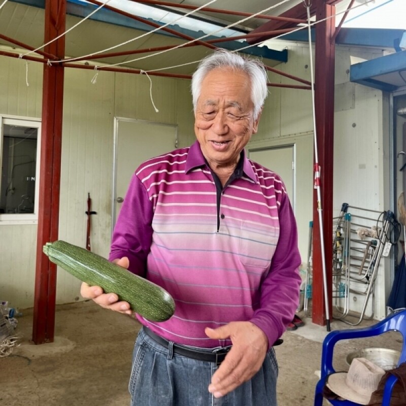 강원더몰,[근덕농협] 쥬키니호박 주키니 2kg 4개입