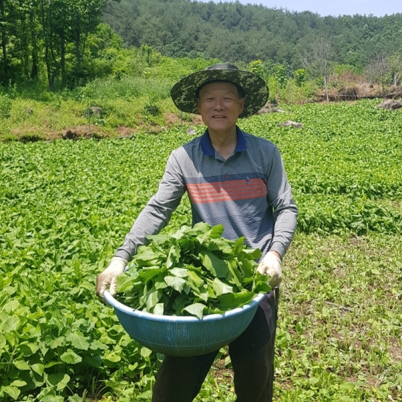강원더몰,[라이브특가] 강원도 삼척 건곤드레 300g