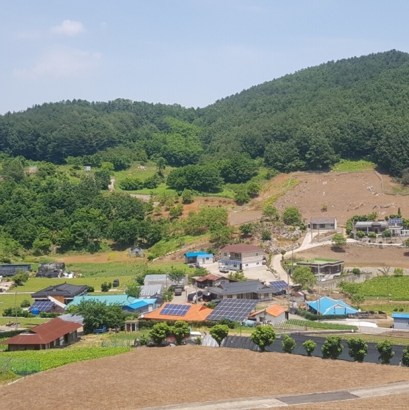 강원더몰,[라이브특가] 강원도 삼척 건곤드레 300g